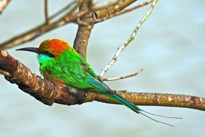 Udawalawe National Park